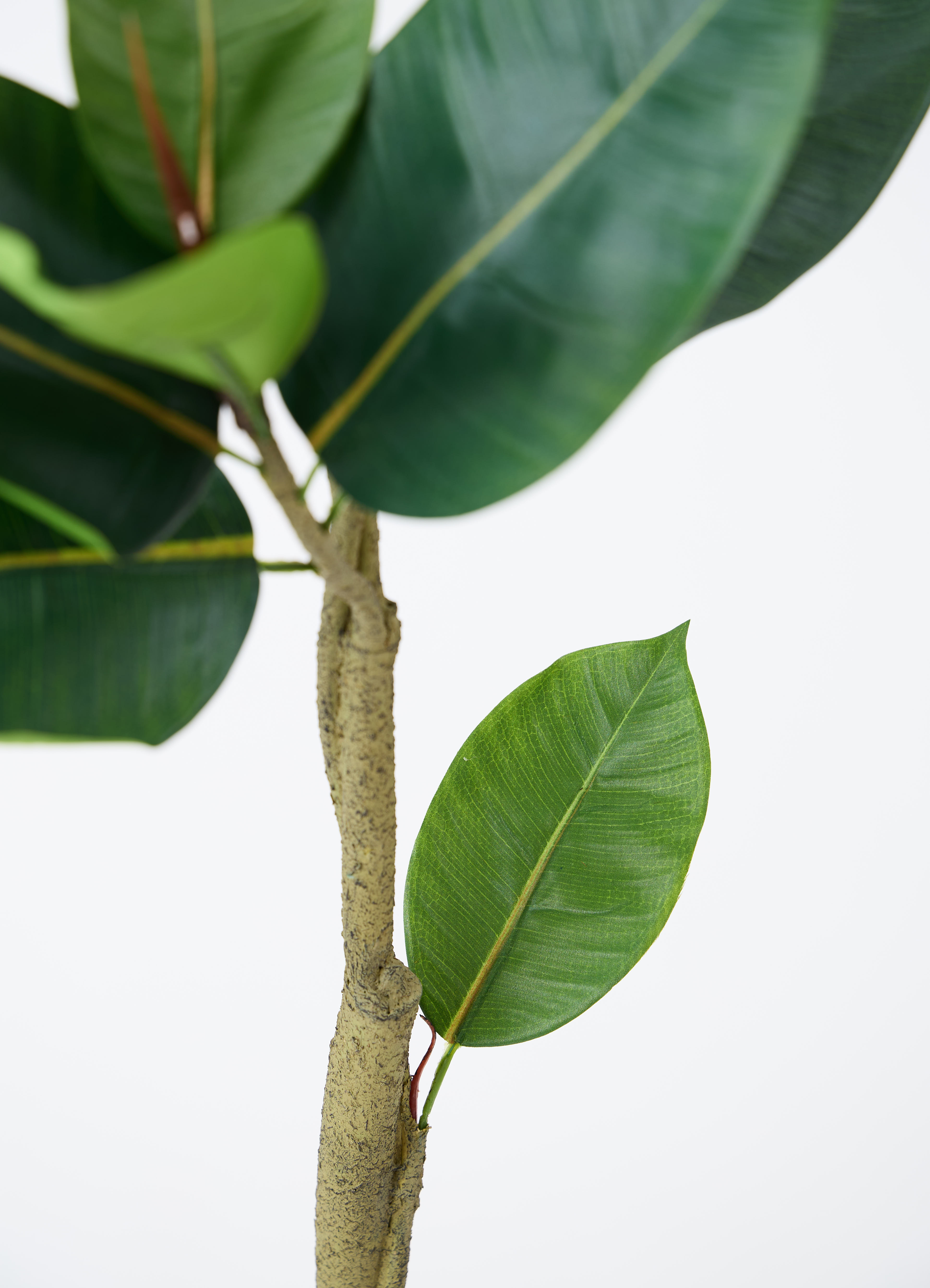 観葉植物【フェイクグリーン】フィカス（ゴムの木） 150cm ベース