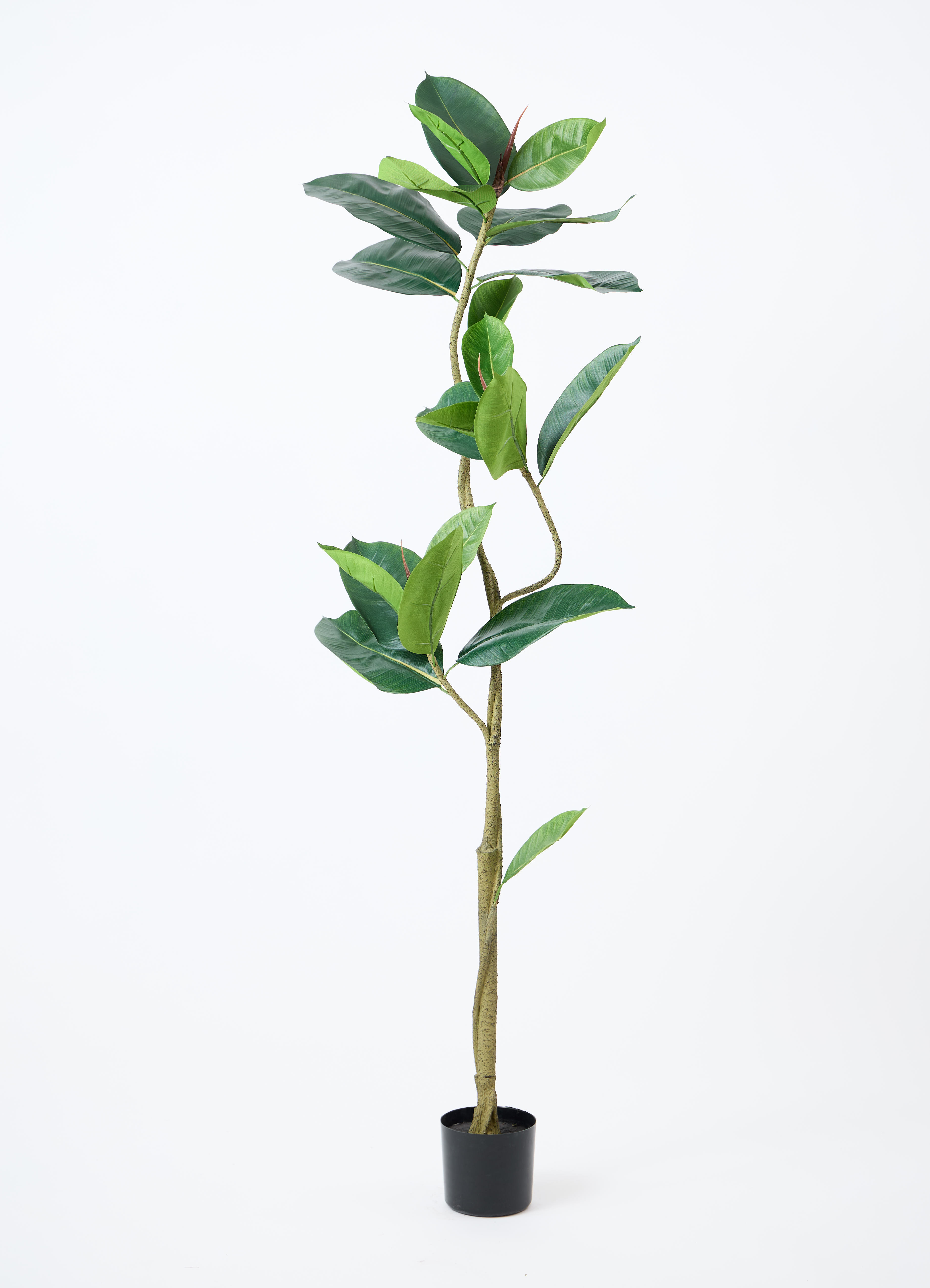 ⑥【処分価格】新品 ゴムの木(150cm)　人工観葉植物 フェイクグリーン インテリア 観葉植物【フェイクグリーン】フィカス（ゴムの木） 150cm ベース