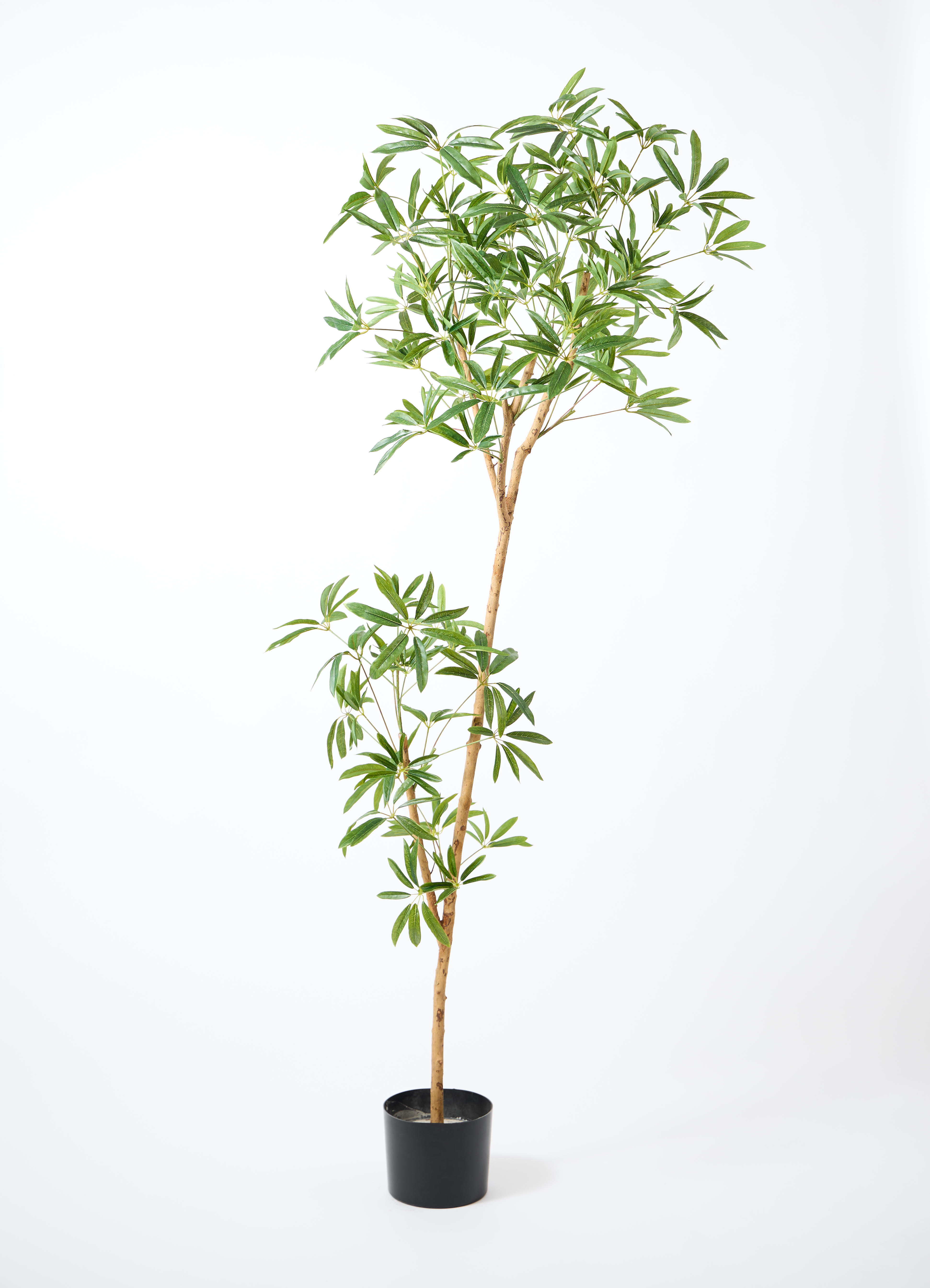 観葉植物 【フェイクグリーン】 シェフレラ 原木 180cm ベースポット