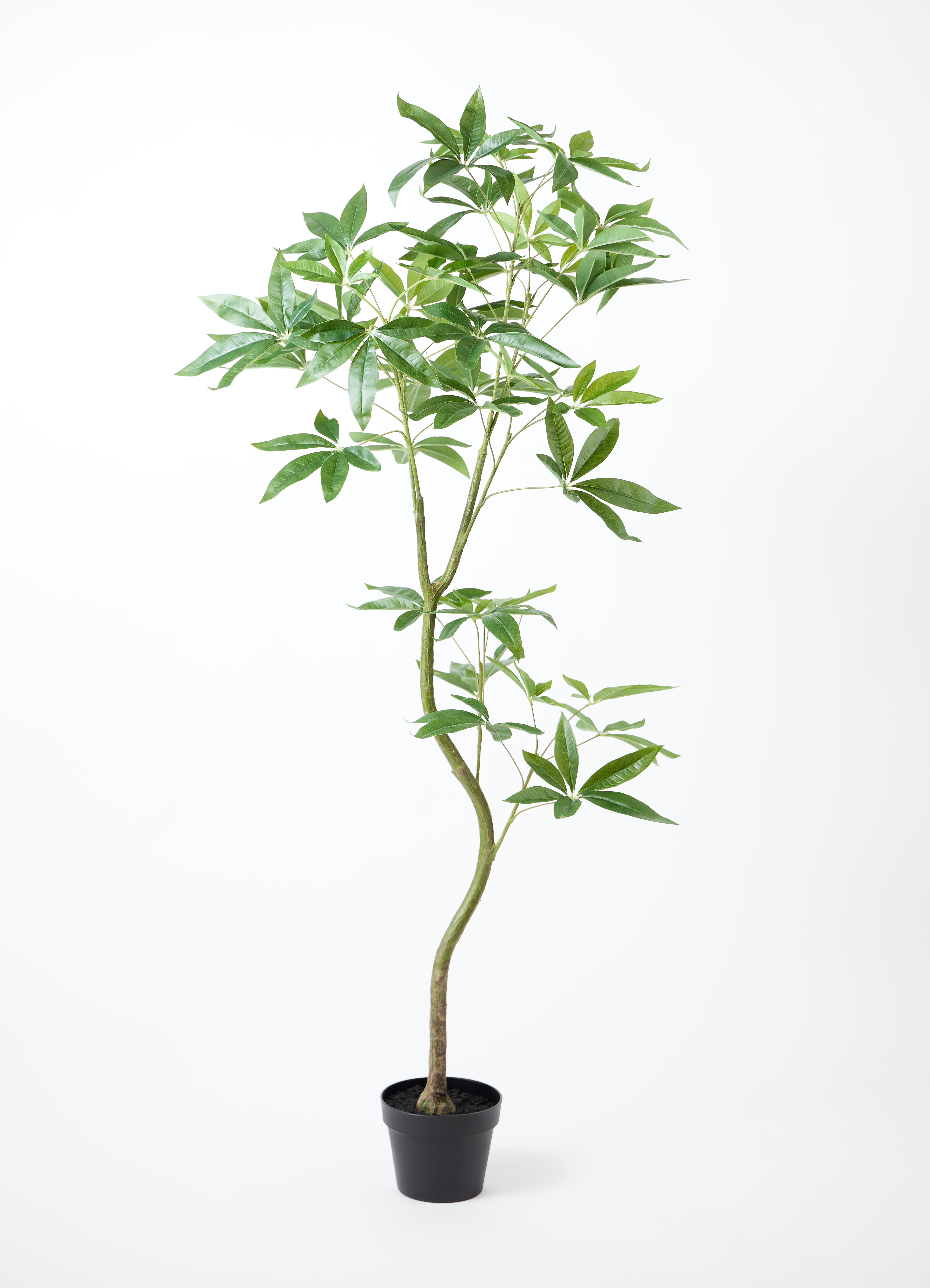 観葉植物【フェイクグリーン】パキラ 曲り 150cm ビトロ ウーヌム