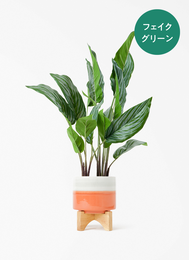 観葉植物【フェイクグリーン】カラテア 30cm オスト ボール マット