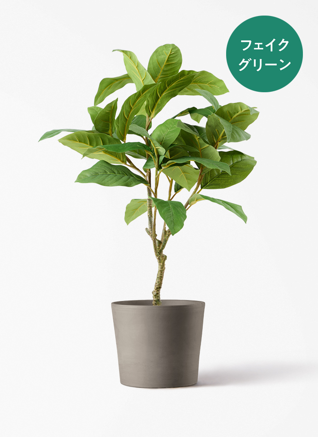 観葉植物【フェイクグリーン】フィカス ベンガレンシス 60cm ベース