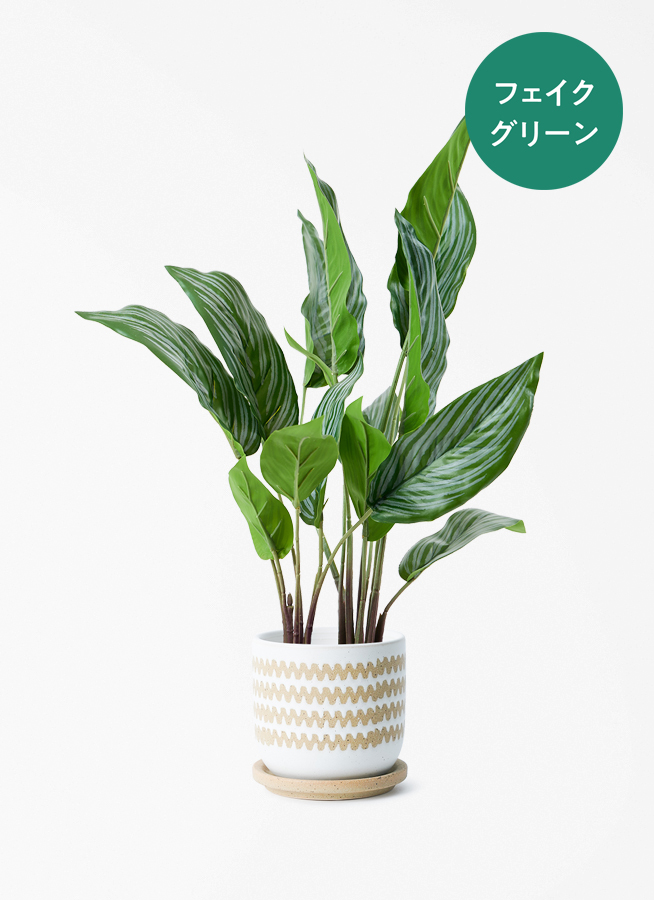 観葉植物【フェイクグリーン】カラテア 30cm オスト ボール マット