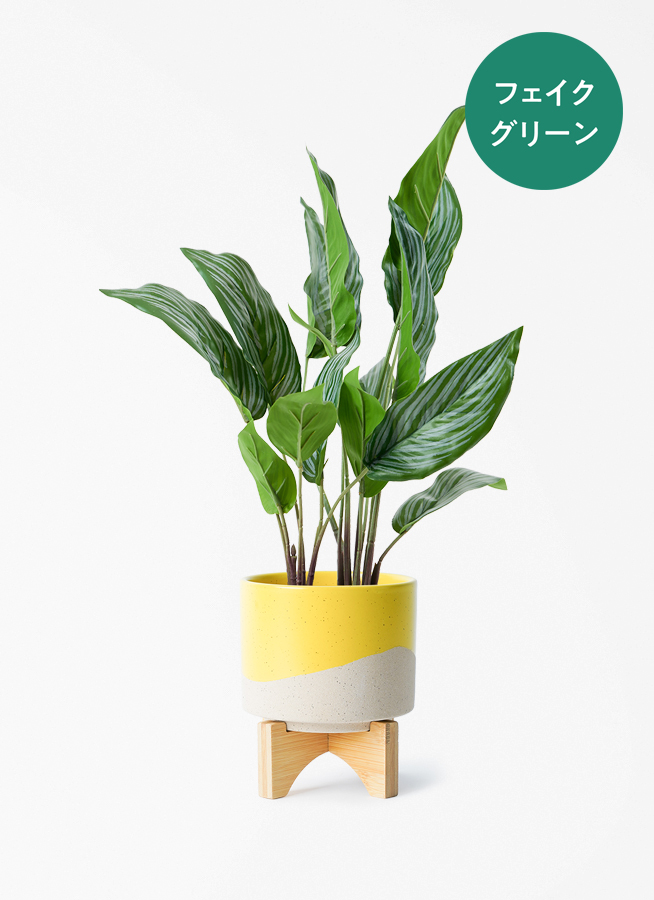 観葉植物【フェイクグリーン】カラテア 30cm オスト ボール マット