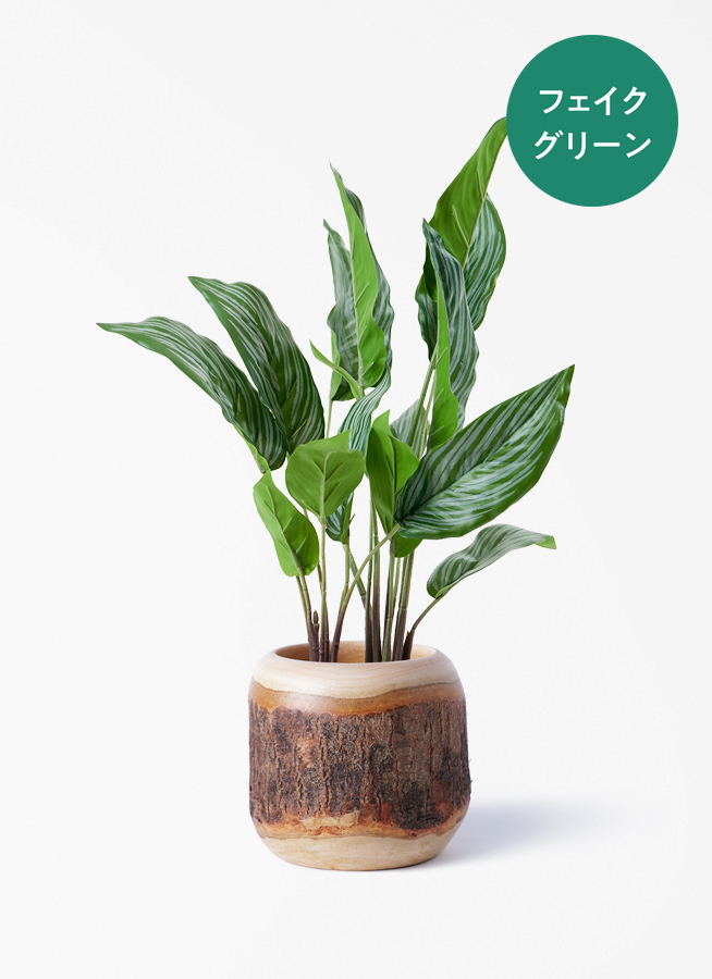 観葉植物【フェイクグリーン】カラテア 30cm オスト ボール マット