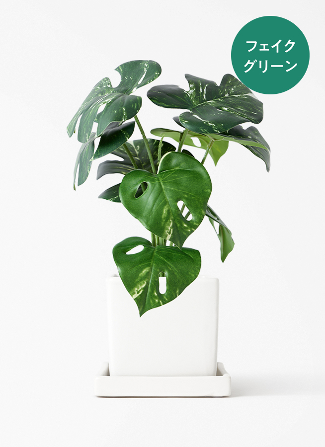 観葉植物【フェイクグリーン】モンステラ 30cm ベースポット入り #A