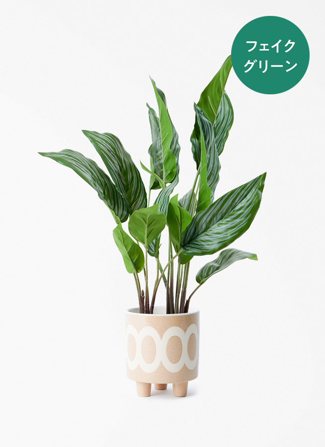 観葉植物【フェイクグリーン】カラテア 30cm オスト ボール マット