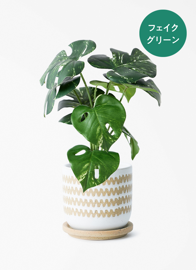 観葉植物【フェイクグリーン】モンステラ 20cm インナ 11 G 付き