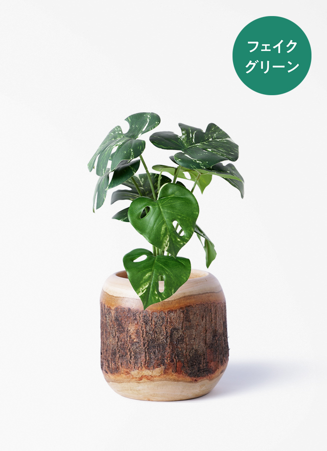 観葉植物【フェイクグリーン】モンステラ 30cm ベースポット入り #A