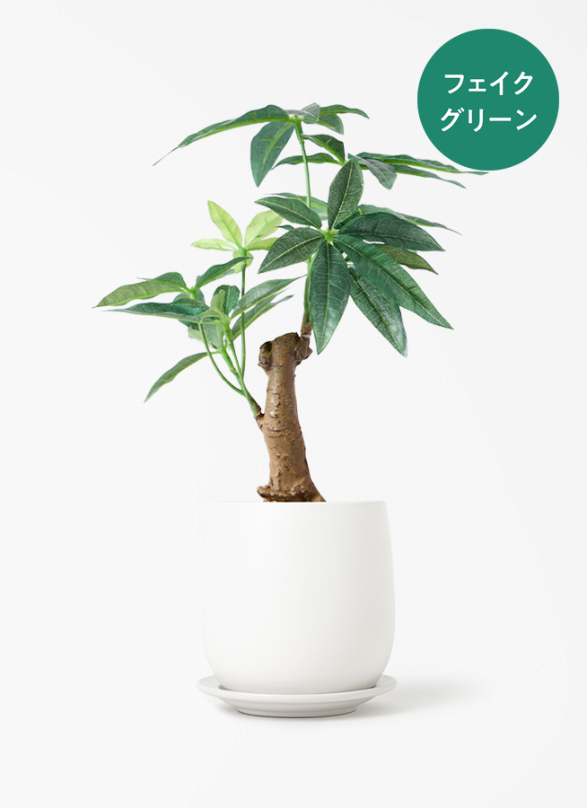 観葉植物【フェイクグリーン】パキラ 30cm ベースポット入り #GLA-1522