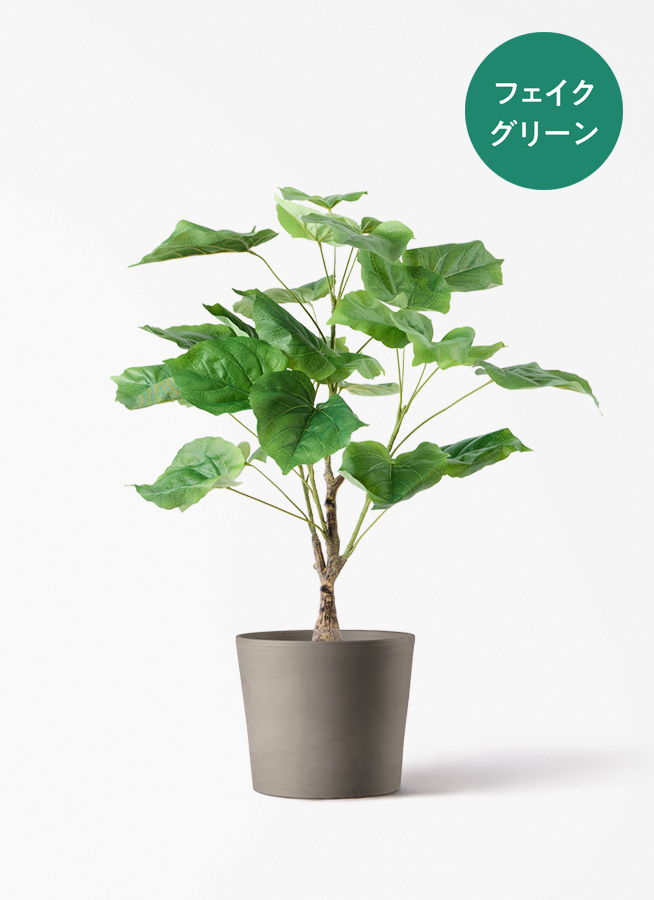 観葉植物【フェイクグリーン】フィカス ウンベラータ 60cm