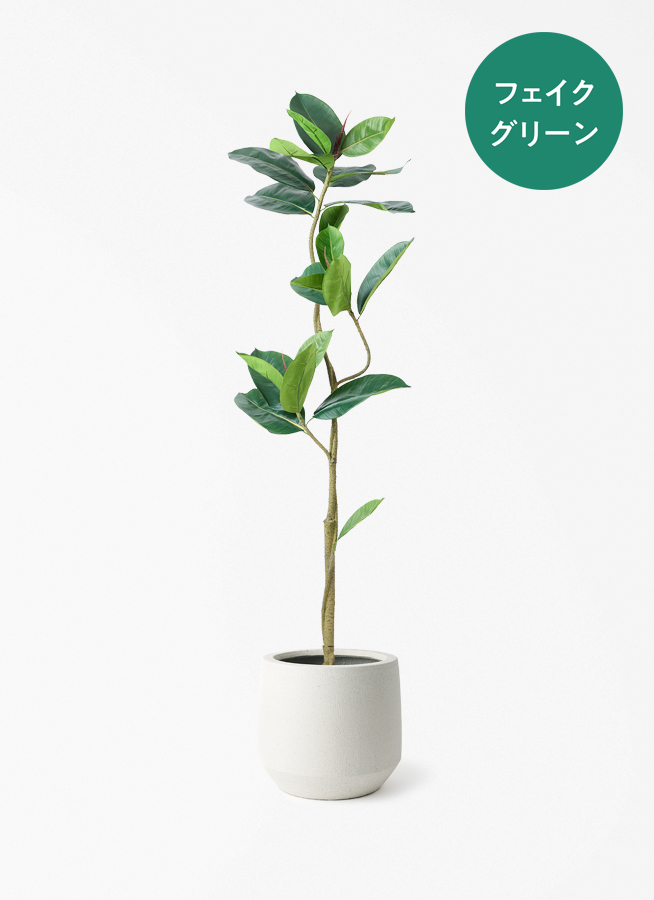 観葉植物【フェイクグリーン】フィカス（ゴムの木） 150cm ベース