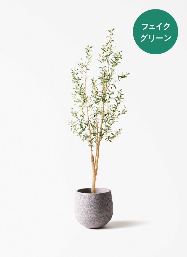 観葉植物 【フェイクグリーン】 オリーブ 実付き 原木 180cm ベース