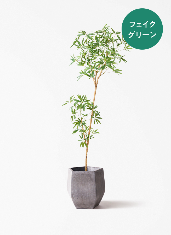観葉植物 【フェイクグリーン】 シェフレラ 原木 180cm ベースポット