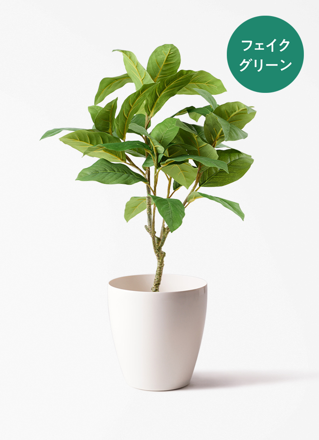 Artificial - Green　フェイクグリーン ベンガレンシス fake-benghalensis-2_001.jpg?