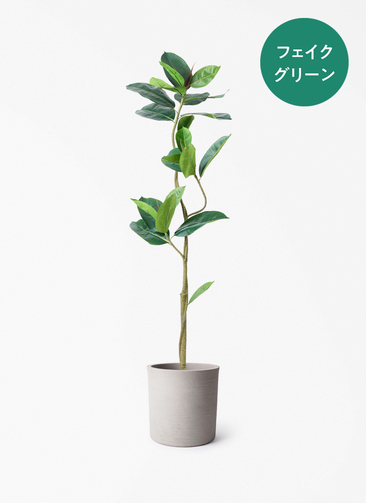 観葉植物【フェイクグリーン】フィカス（ゴムの木） 150cm ソンク