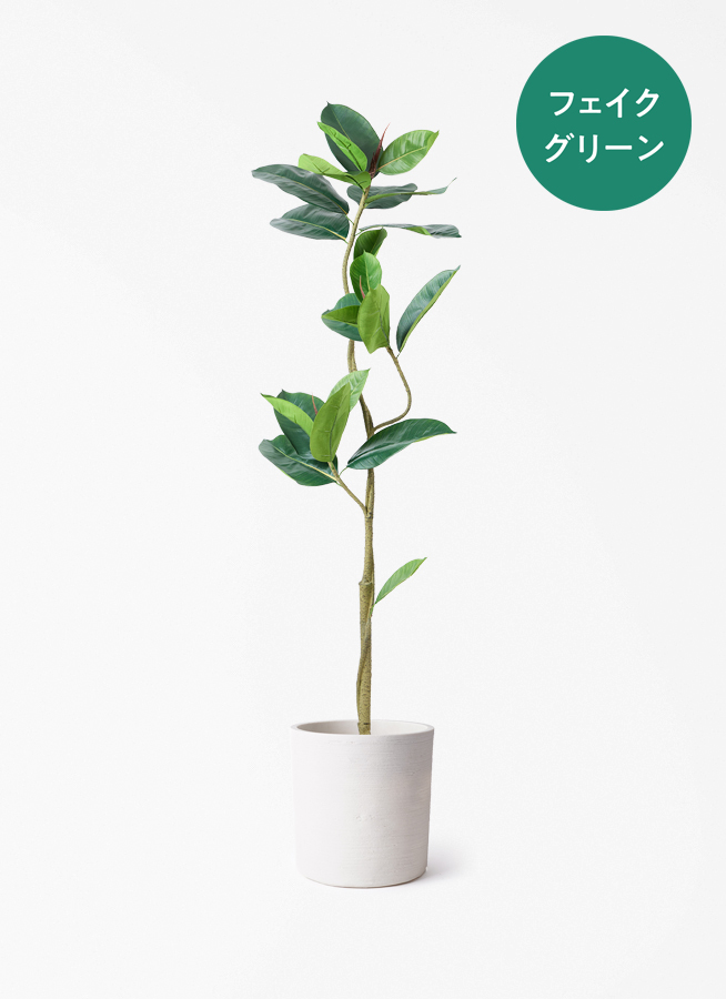 観葉植物【フェイクグリーン】フィカス（ゴムの木） 150cm ベース