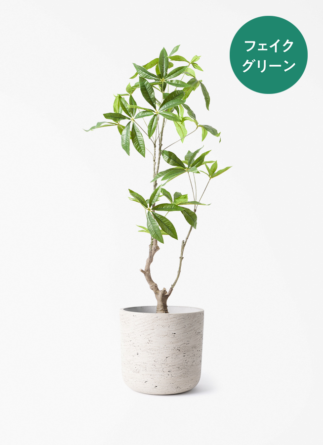 観葉植物【フェイクグリーン】パキラ 90cm カッセル ユーポット