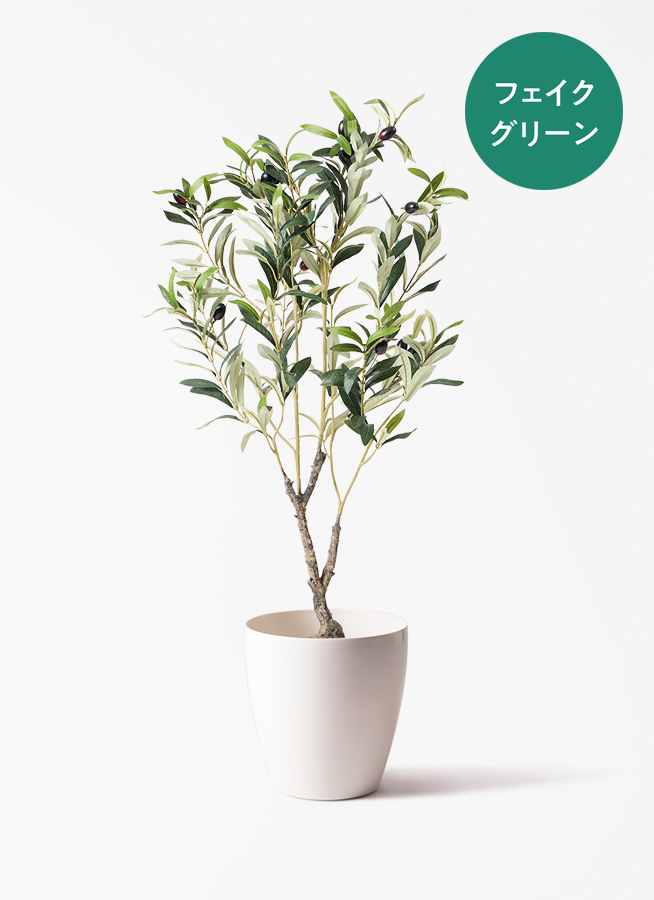 観葉植物【フェイクグリーン】オリーブ 実付き 80cm ジェミニ