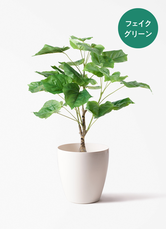 観葉植物【フェイクグリーン】フィカス ウンベラータ 60cm ベラ ピンク