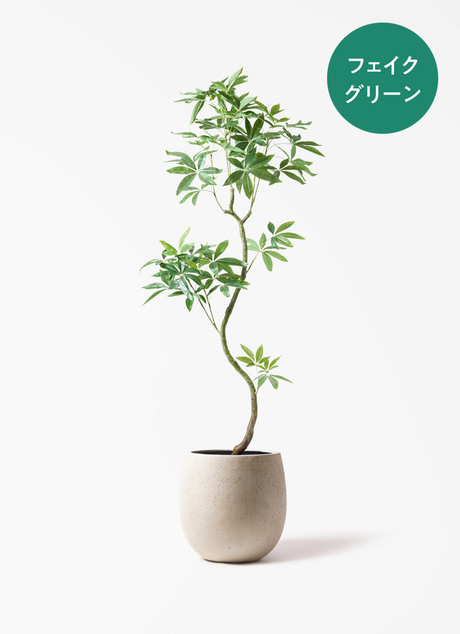 観葉植物【フェイクグリーン】パキラ 曲り 180cm エステリ ピンク 付き