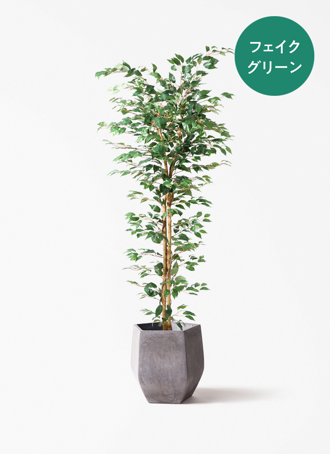 観葉植物 【フェイクグリーン】 ベンジャミン 原木 180cm テラニアス
