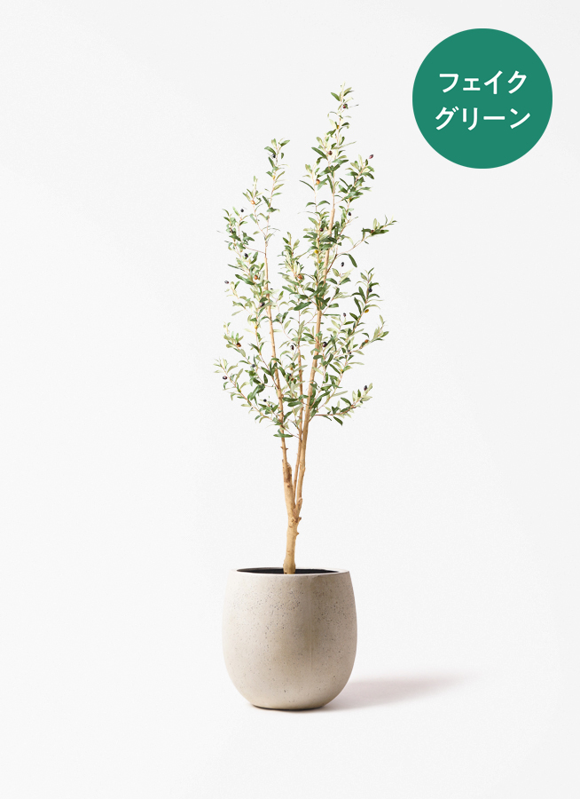 観葉植物 【フェイクグリーン】 オリーブ 実付き 原木 180cm Eco Stone