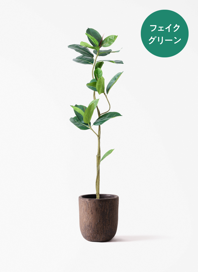 観葉植物 フェイク FICUS フィカス 観葉植物【フェイクグリーン】フィカス（ゴムの木） 150cm パボ ミドル