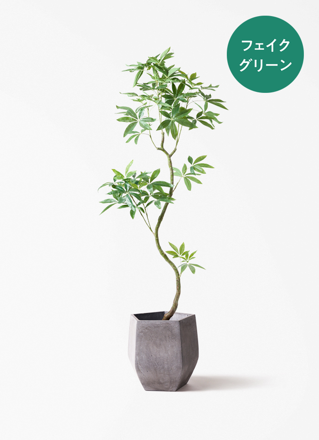 観葉植物【フェイクグリーン】パキラ 曲り 180cm ラスターポット 付き