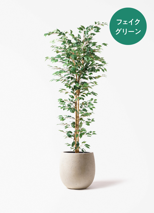 観葉植物 【フェイクグリーン】 ベンジャミン 原木 180cm テラニアス