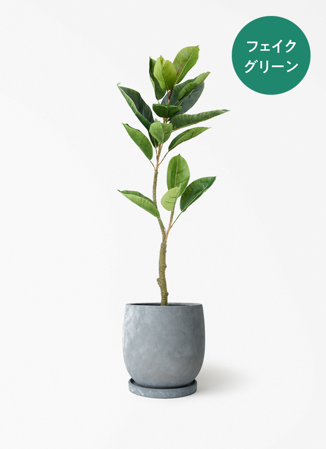 観葉植物【フェイクグリーン】フィカス（ゴムの木） 90cm ラスター