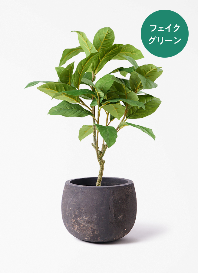 観葉植物【フェイクグリーン】フィカス ベンガレンシス 60cm ベース