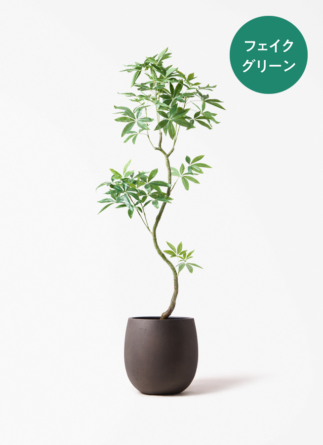 観葉植物【フェイクグリーン】パキラ 曲り 180cm ラスターポット 付き