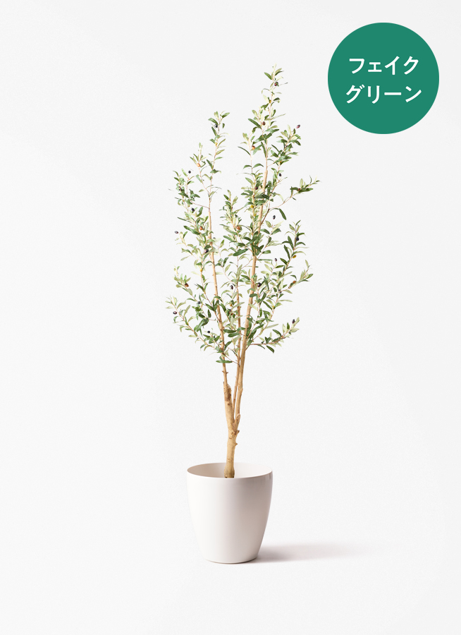 観葉植物 【フェイクグリーン】 オリーブ 実付き 原木 180cm Eco Stone