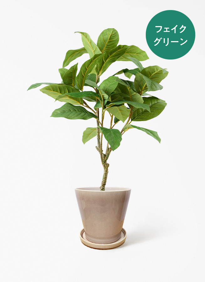 観葉植物【フェイクグリーン】フィカス ベンガレンシス 60cm ベース