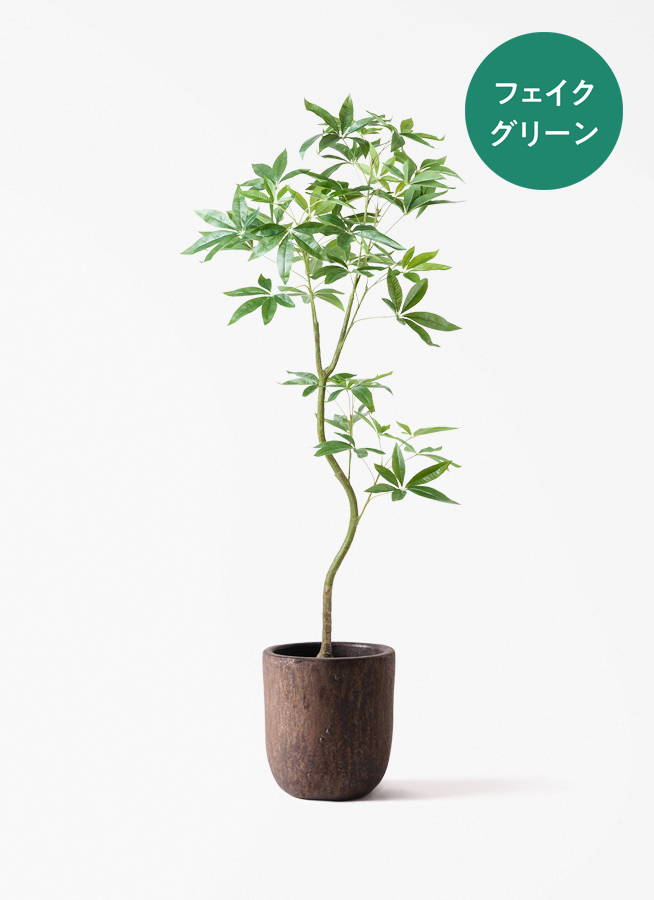 観葉植物【フェイクグリーン】パキラ 曲り 150cm パボ ミドル オフ