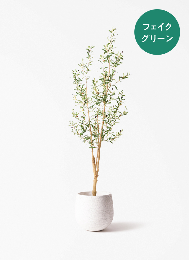 観葉植物 【フェイクグリーン】 オリーブ 実付き 原木 180cm ウッド 