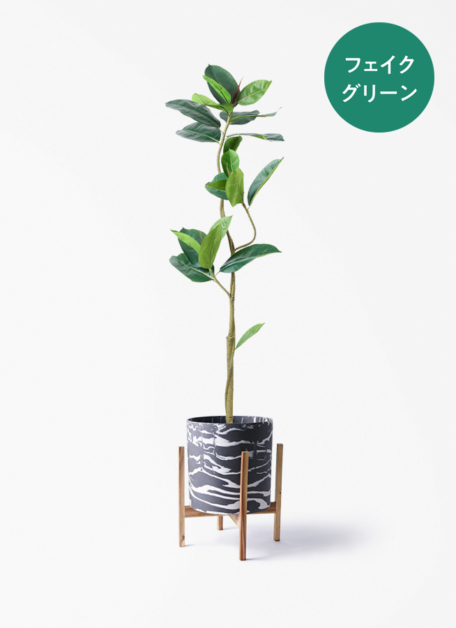 観葉植物【フェイクグリーン】フィカス（ゴムの木） 150cm パボ ミドル