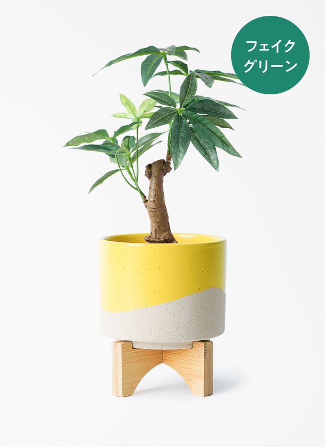 観葉植物【フェイクグリーン】パキラ 30cm ラダ 12 B ベージュ 付き
