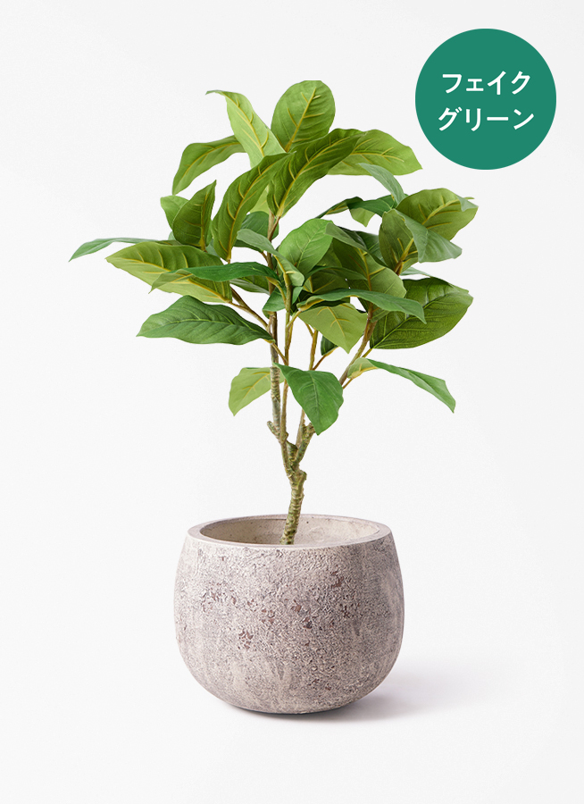 観葉植物【フェイクグリーン】フィカス ベンガレンシス 60cm ベース