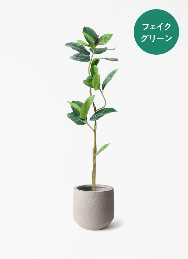 観葉植物【フェイクグリーン】フィカス（ゴムの木） 150cm ベース