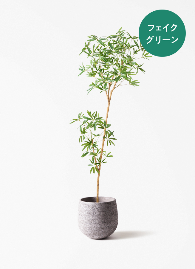 観葉植物 【フェイクグリーン】 シェフレラ 原木 180cm Eco Stone