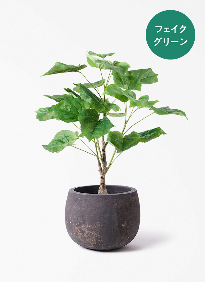 観葉植物【フェイクグリーン】フィカス ウンベラータ 60cm