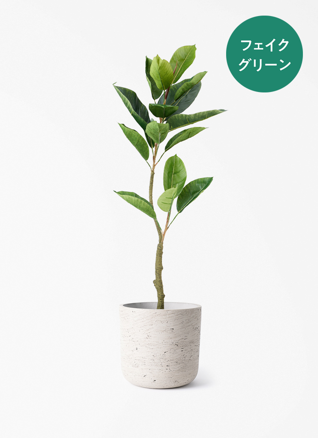観葉植物 フェイク FICUS フィカス 観葉植物【フェイクグリーン】フィカス（ゴムの木） 90cm カッセル