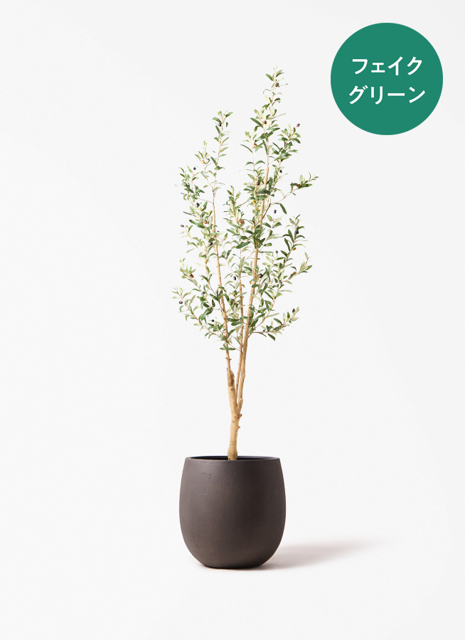 フェイクグリーン オリーブ 実付き 天然木ベース 180cm Eco Stone