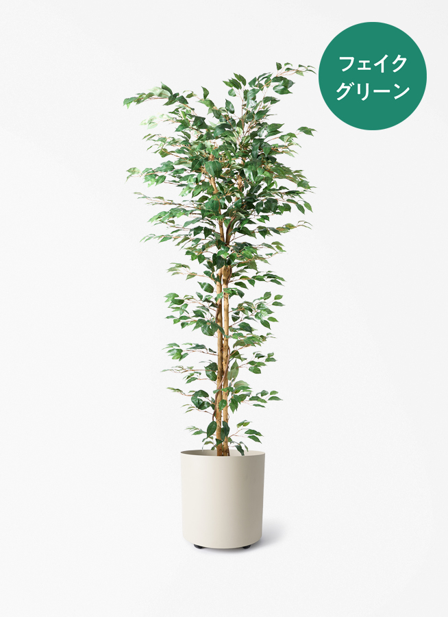 観葉植物 【フェイクグリーン】 ベンジャミン 原木 180cm ファイバー