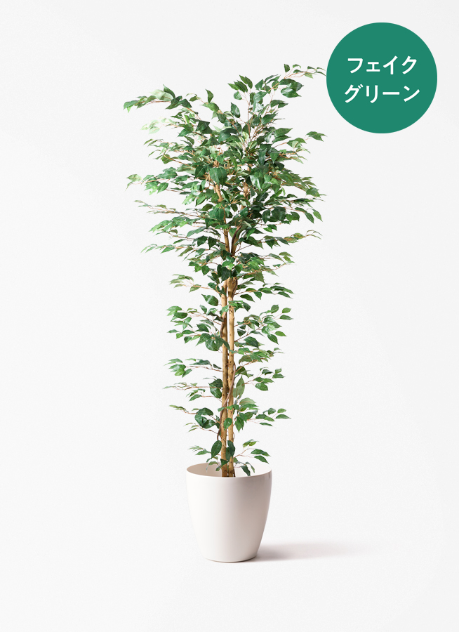 観葉植物 【フェイクグリーン】 ベンジャミン 原木 180cm テラニアス