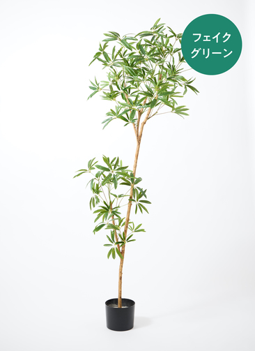 観葉植物 【フェイクグリーン】 シェフレラ 原木 180cm ベースポット