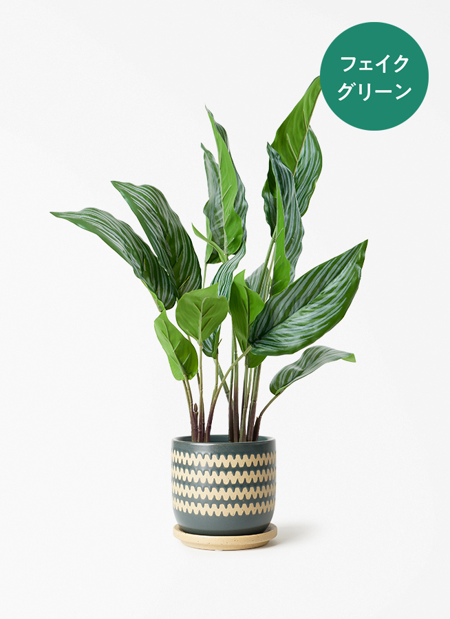 観葉植物【フェイクグリーン】カラテア 30cm オスト ボール マット