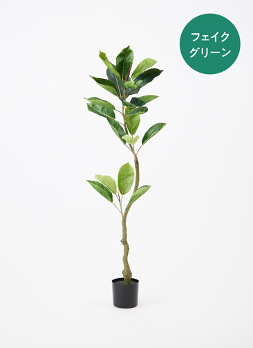 観葉植物【フェイクグリーン】フィカス（ゴムの木） 120cm ベース
